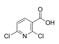 2,6-二<em>氯</em>吡啶-3-羧酸，98%